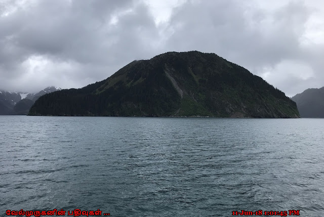 Sunny Cove State Marine Park