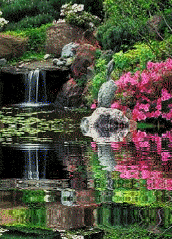Gif_Paradise: NATURE GIFS