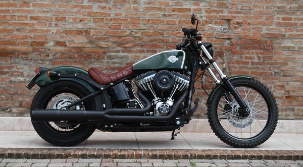 Harley Davidson By Roberto Rossi Hell Kustom 