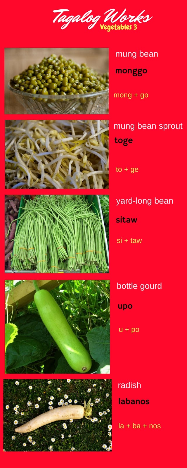 Vegetables 1 9 in Tagalog