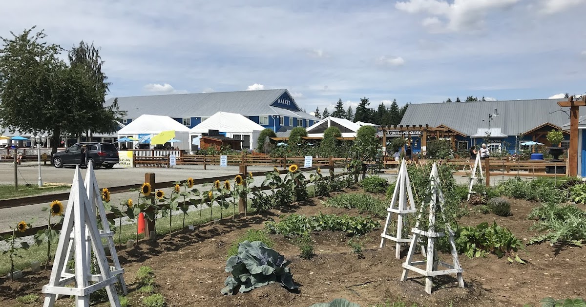 Krause Berry Farm Langley, BC Canada chichicho