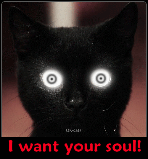 Art Cat GIF • Black demon Kitten is back and wants your soul. Look into my eyes, human... Art Cat GIF • Black demon Kitten is back and wants your soul. Look into my eyes, human...