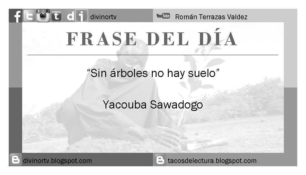 25 Frases Para Compartir I