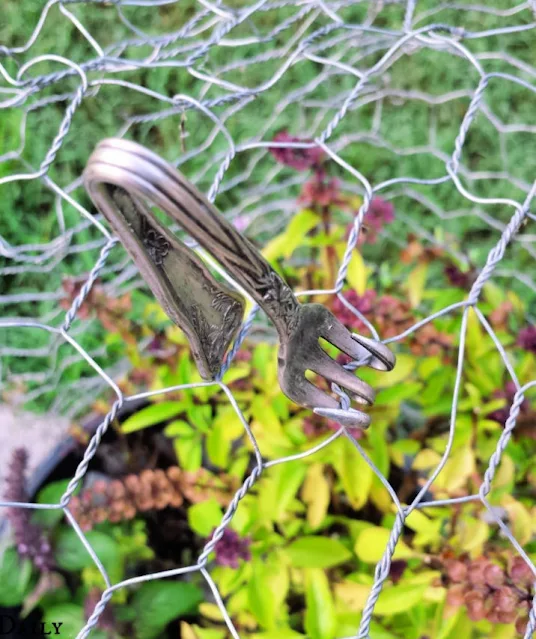 How to Make a Chicken Wire Garden Cloche Fresh Eggs Daily® with Lisa