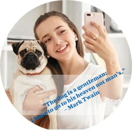Instagram dog love quotes inspirational short dog love quotes Instagram for dog lovers