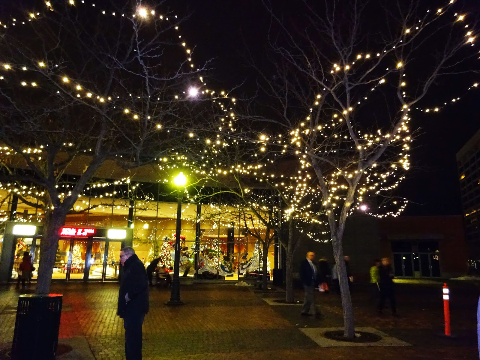 Boise Daily Photo Christmas in the Grove
