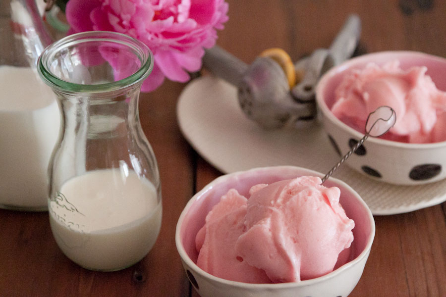 Easy To Make Dessert Recipes White Nectarine Ice Cream