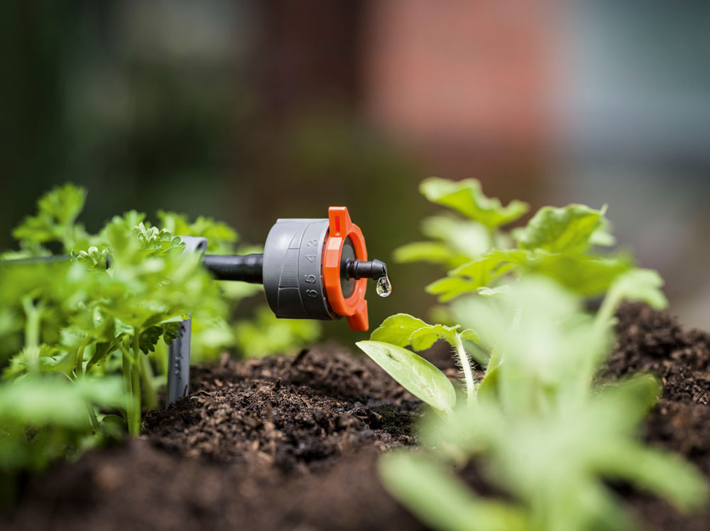 Check These Advantages and Disadvantages of Irrigation Systems