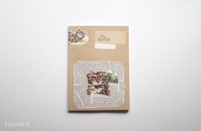 diy personalizando libreta idea video