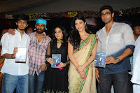 Three Audio Launch Gallery [Andhrula Music]
