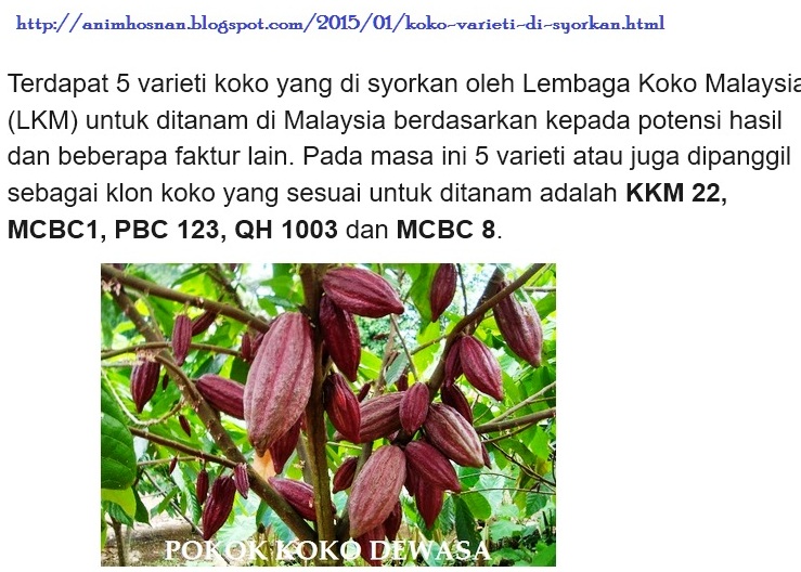 cpb_CocoaPinasBlogs Malaysian Cocoa Board cacao variety