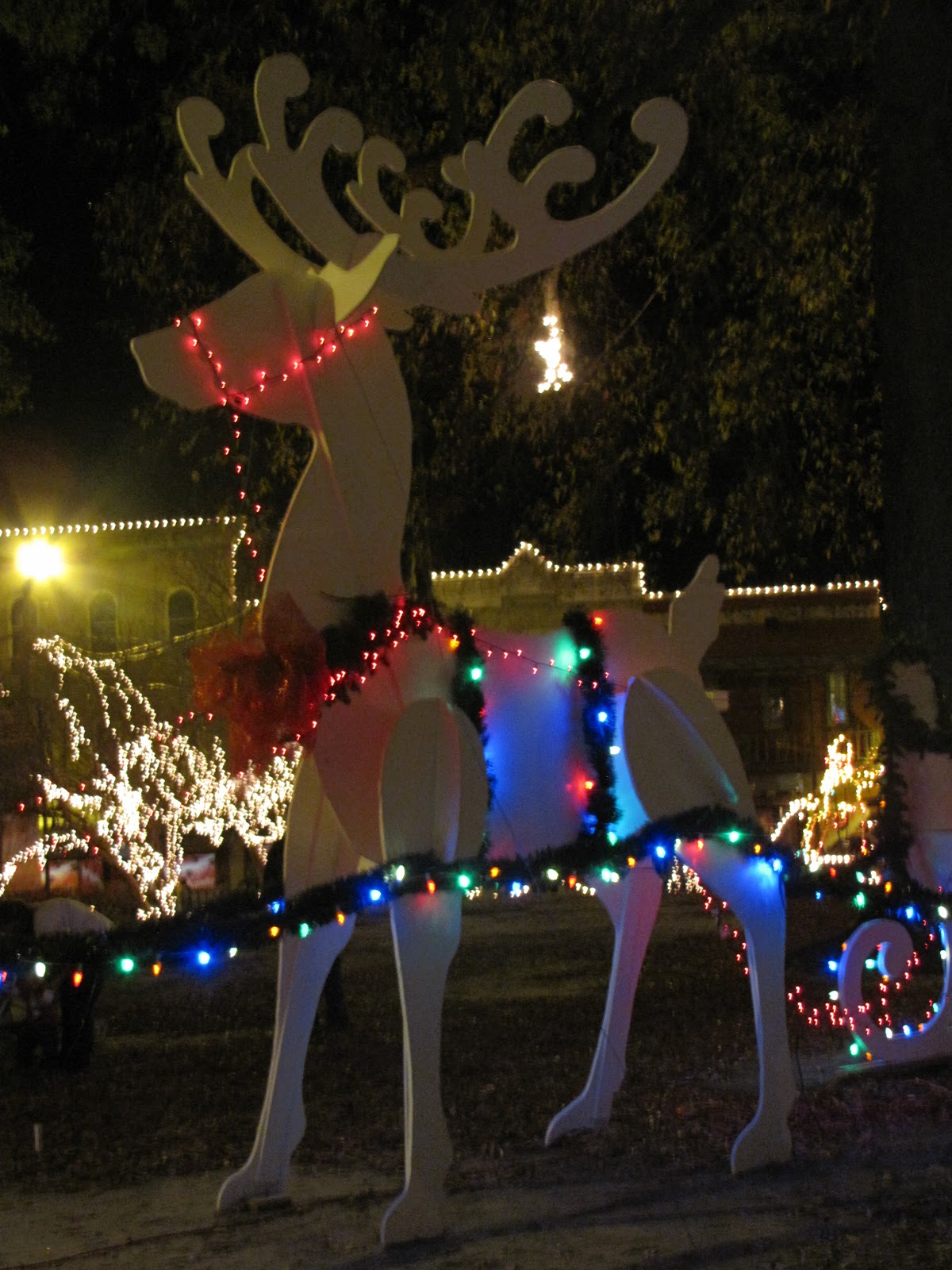 Welcome To The Adventures Of The Litton Family and Life With The