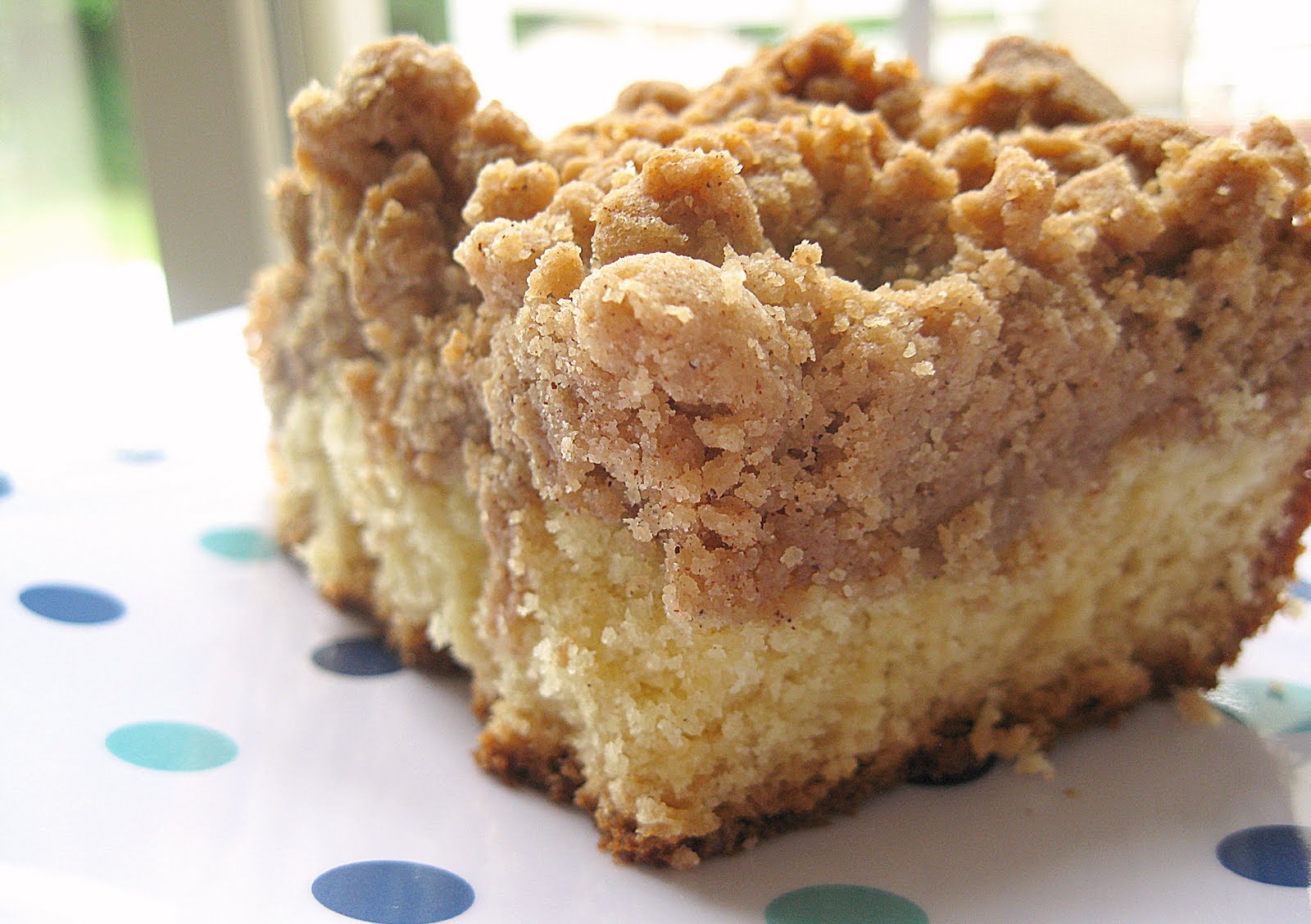 Cats and Casseroles New York Crumb Cake