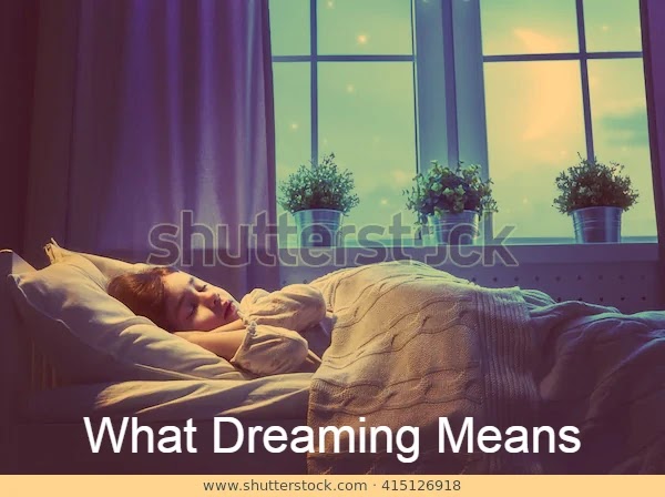 What dreaming means?