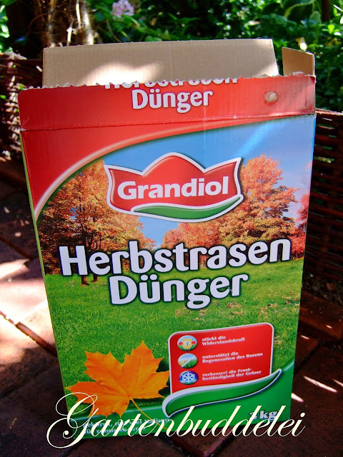 Gartenbuddelei: Rasenpflege