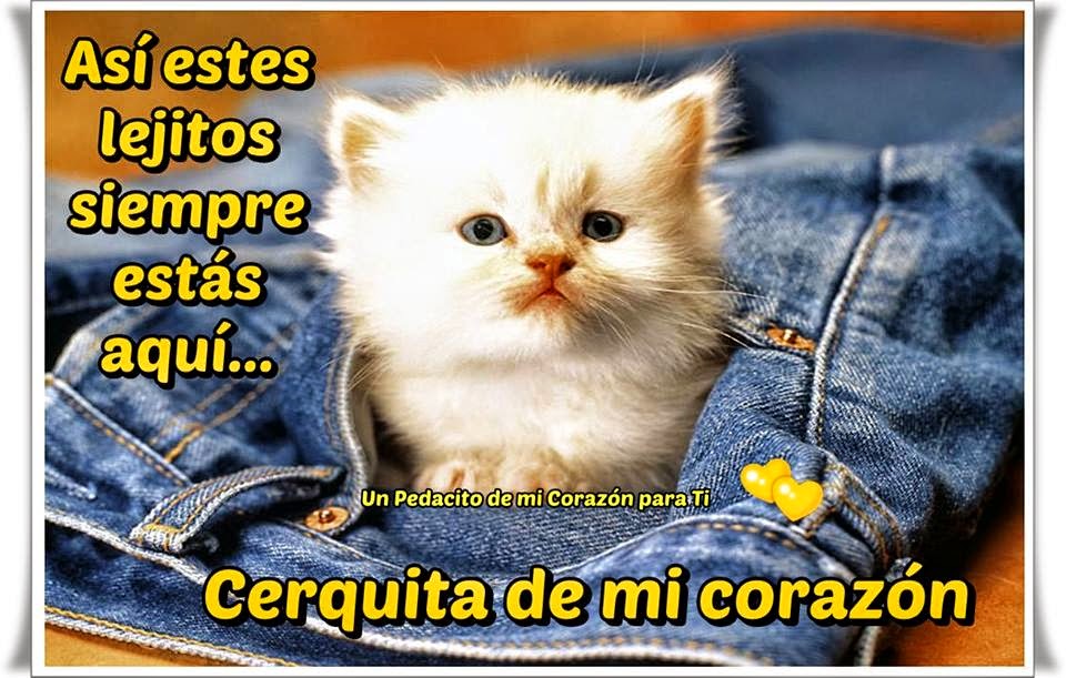 Un Pedacito De Mi Corazon Para Ti Te Tengo Siempre Conmigo