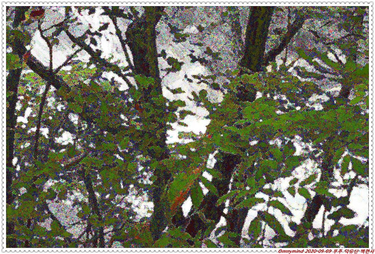 무주 백련사 무주 백련사