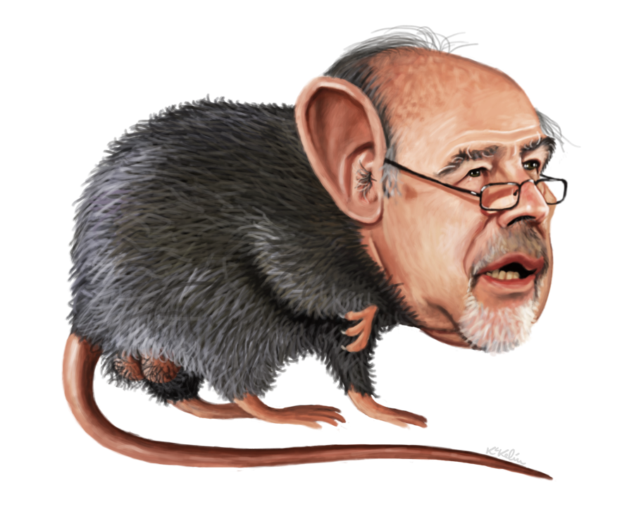 Alerta en Londres por la aparición de ratas gigantes inmunes al veneno ...