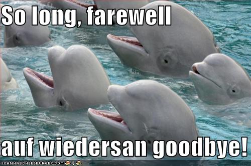 Funny goodbye pic.... | Amazing Wallpapers
