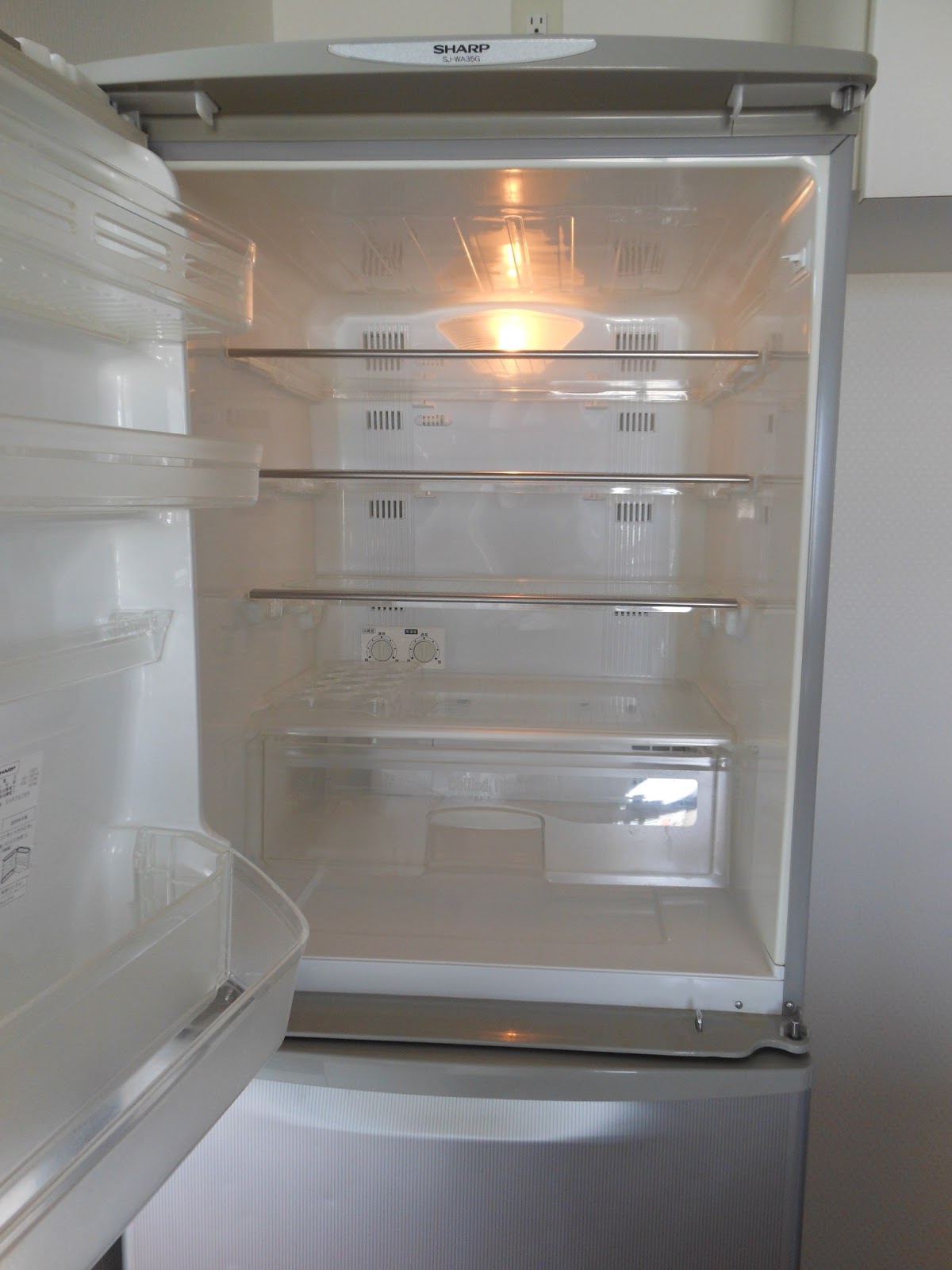 Carmen and Matt's Japan Adventure The BEST Fridge improvement EVER