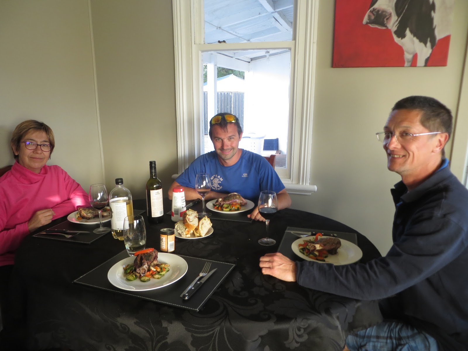 Airbnb Faut Il Amener Ses Draps Ton pied te conduira où tu veux aller: Christchurch/ Kaikoura/ dauphins