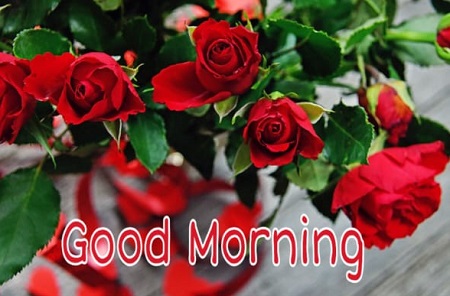 New Good Morning New Good Morning