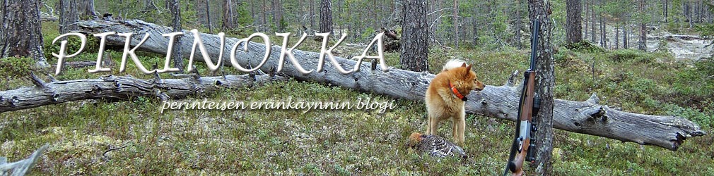 PIKINOKKA