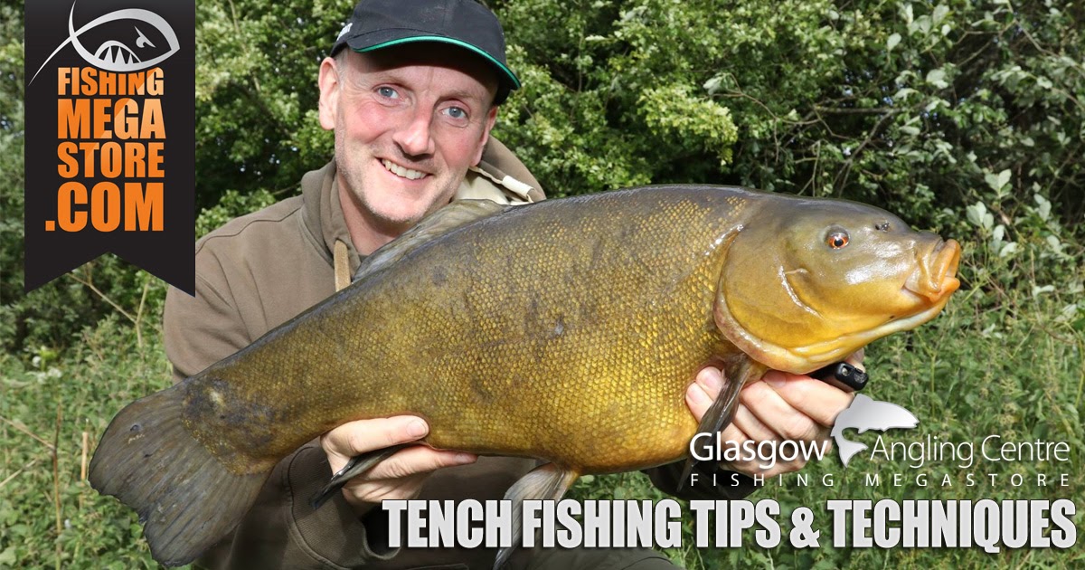Tips and Techniques for Catching Tench