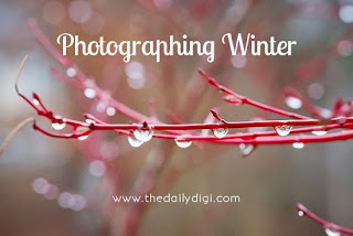 https://thedailydigi.com/photographing-winter