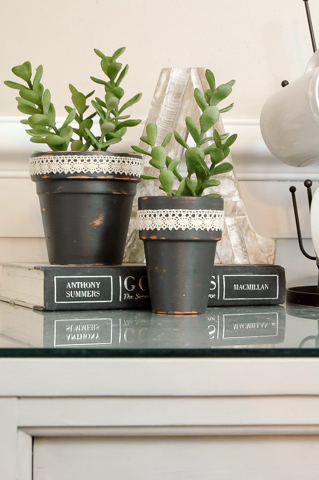 Dollar Tree succulents turned farmhouse decor farmhouse chic decor ideas