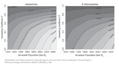 Geneologie Size Chart