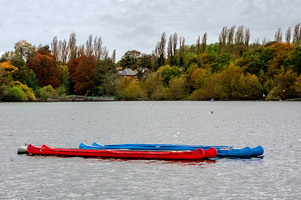 Espacios Plurales Summerfield Park. Birmingham. Reino Unido