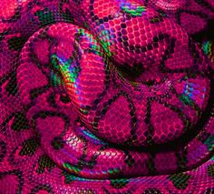 snake images