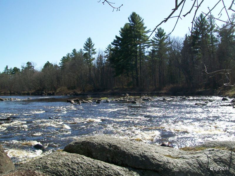 The River Flambeau River State Forest