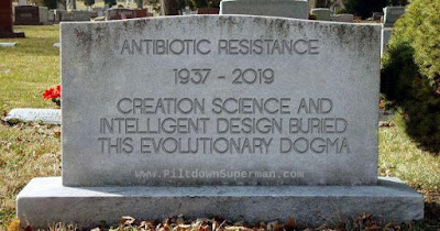 New research gives us further reasons to reject the evolutionary icon that antibiotic resistance is proof of evolution.