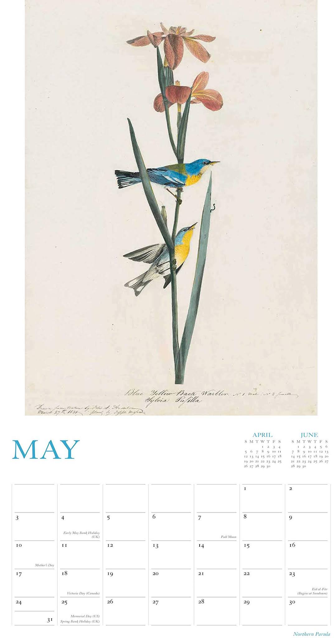 Handmade by Deb Audubon's Watercolors 2020 Wall Calendar Review & GIVEAWAY