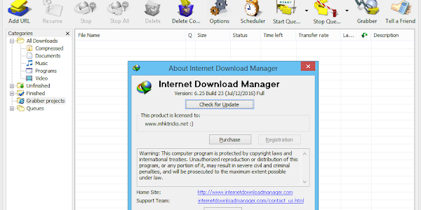 Internet Download Manager (IDM) 6.25 build 25 Full Crack