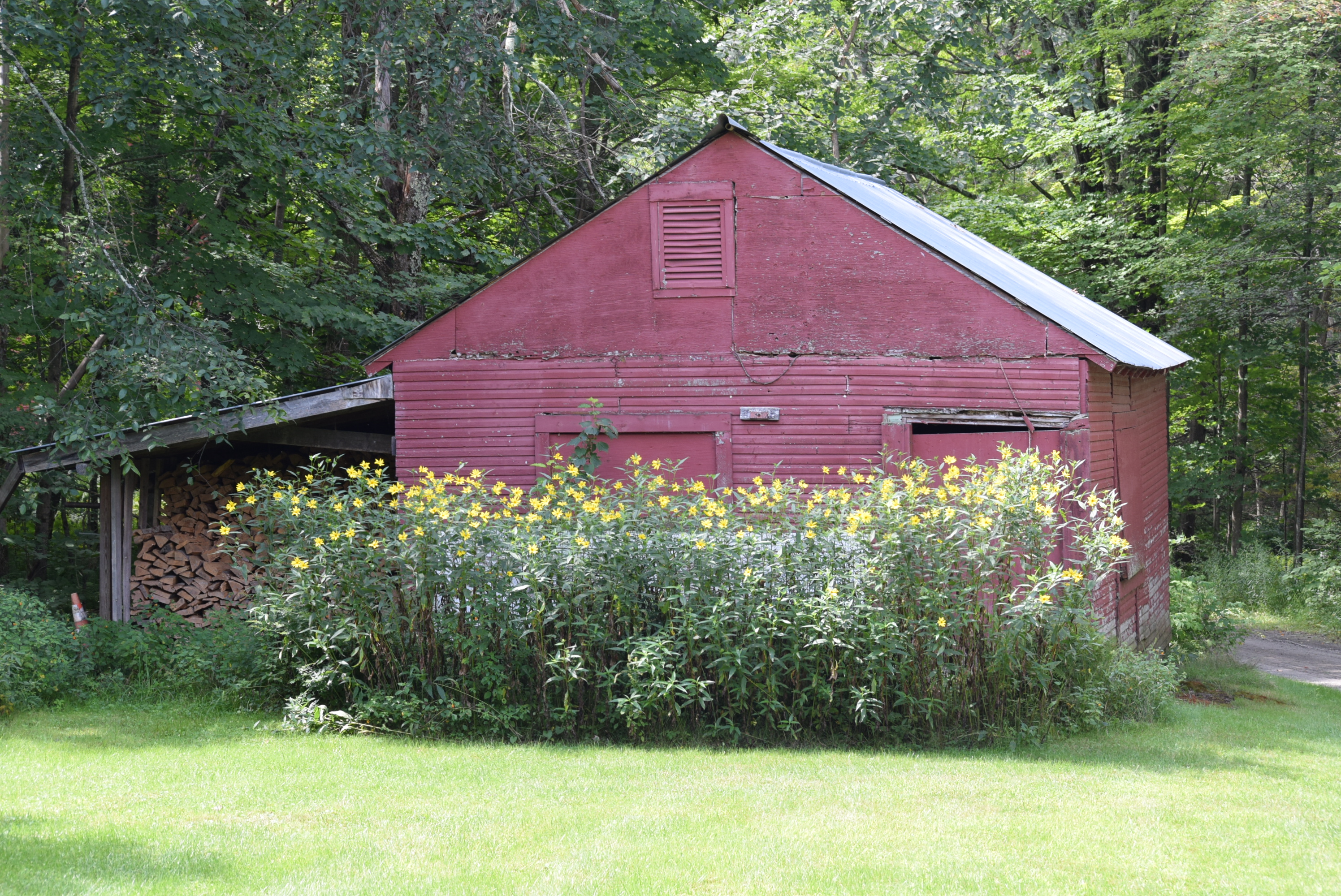 Jericho, Vermont Photos November 2020