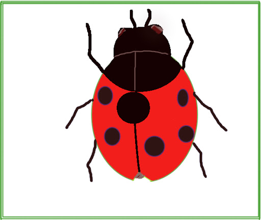 Simple Cute Ladybug Drawing Easy How To Draw a Ladybug