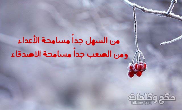 عبارات عن الصداقة
