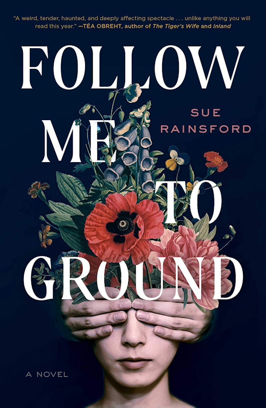 2020 Debut Author Challenge - January Debuts