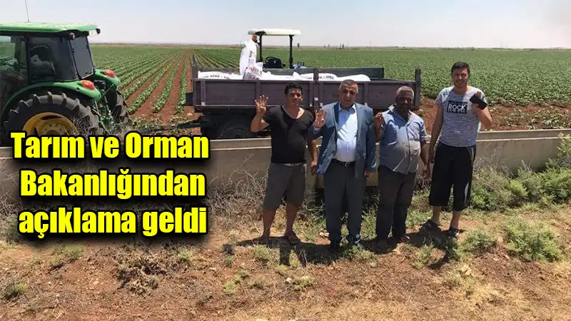 Pamuk desteklemesinde kilo bazlı düşüş olmayacak