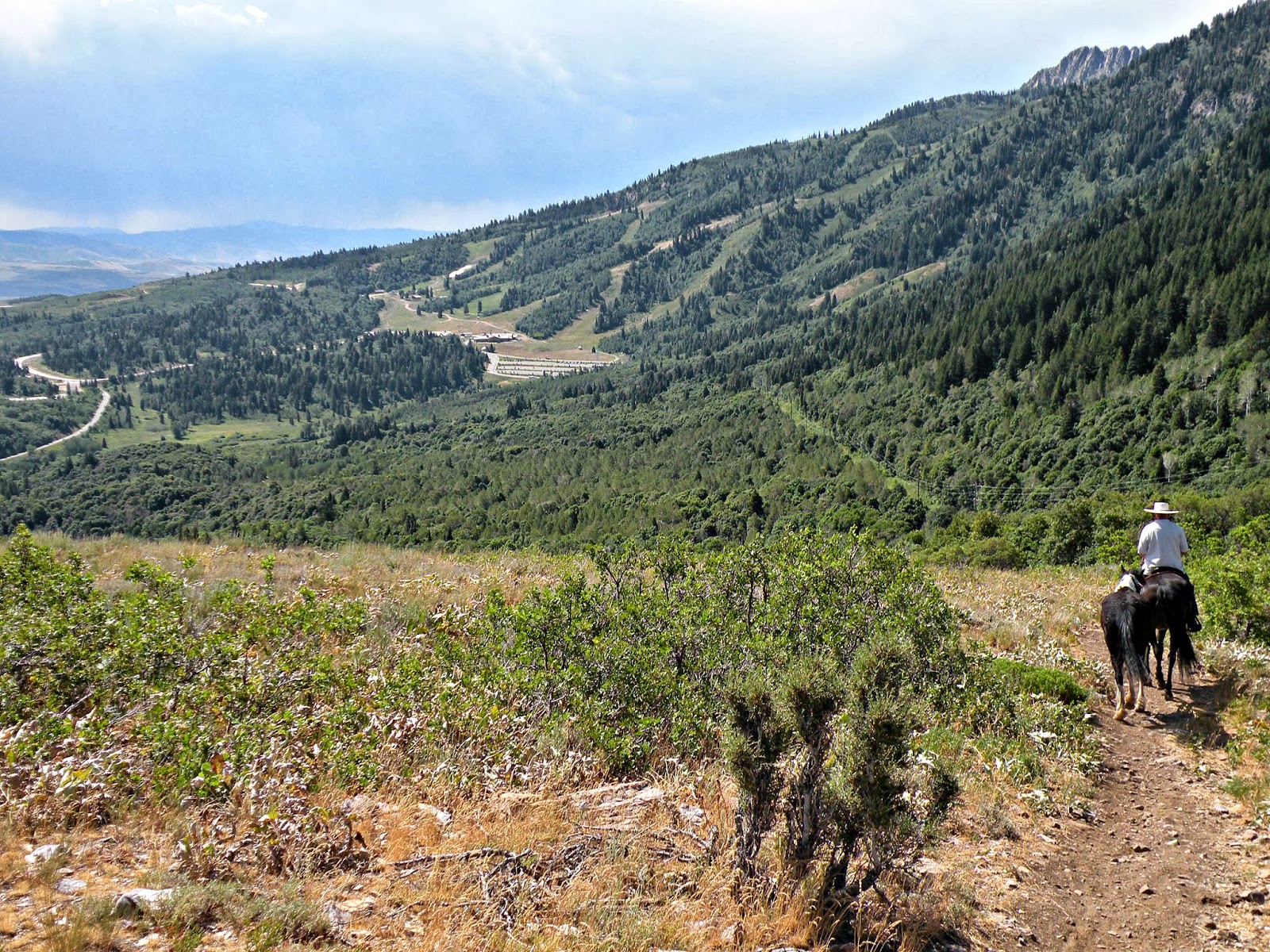 Dream Packer Trail Adventures Snow Basin, Utah, Sardine PeakOverlook