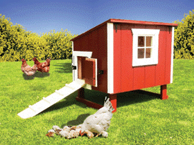 Little red hen house chicken coop