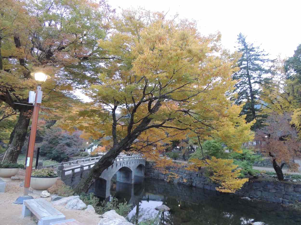 공주 태화산 마곡사