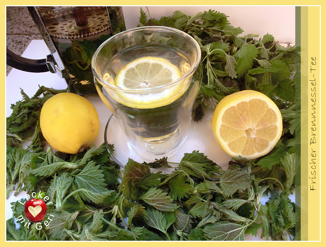 Lecker Mit Geri Frischer Brennnessel Tee Chaj Ot Pryasna Kopriva