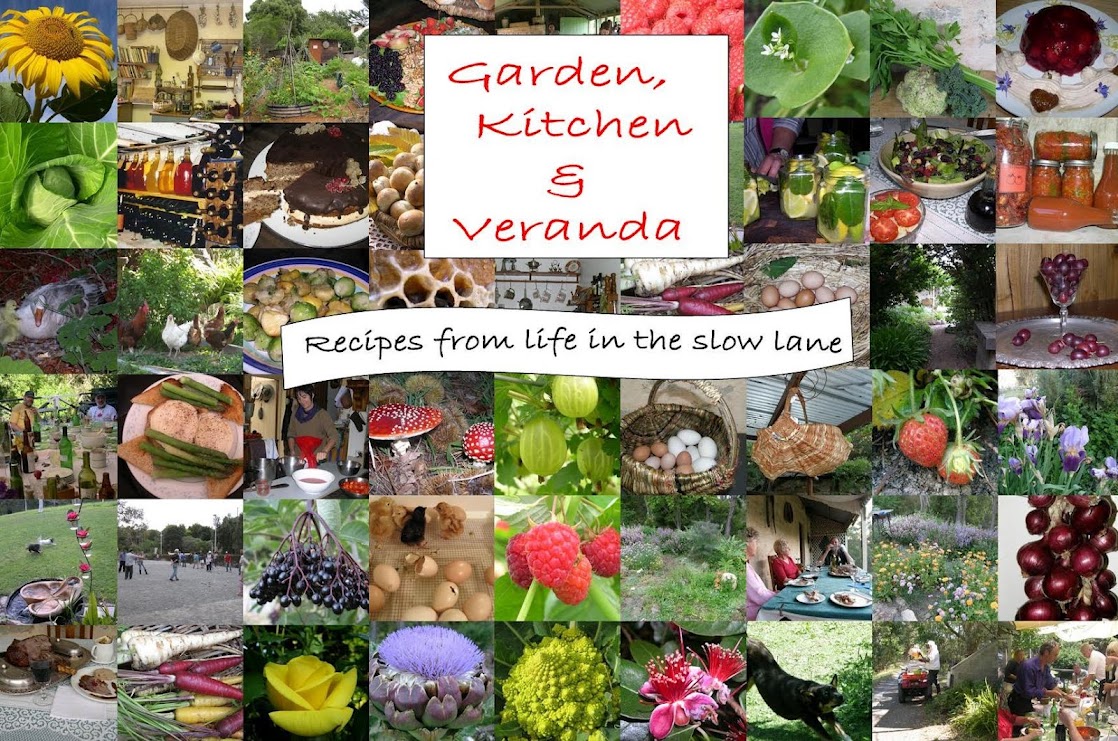 Garden, Kitchen and Veranda