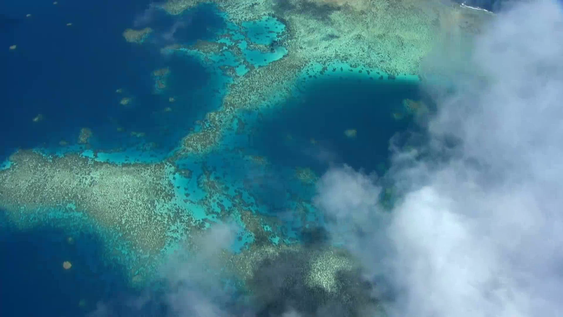 Asadal Hidden Australia (2020)