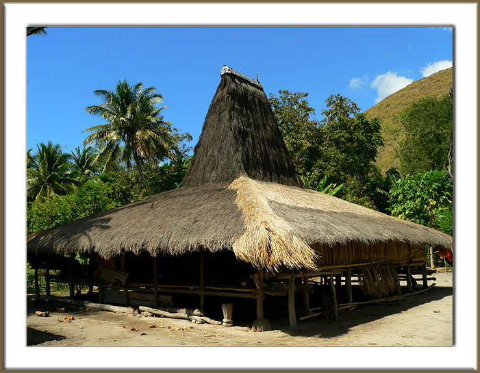 Download this Rumah Adat Tradisional Sumba picture