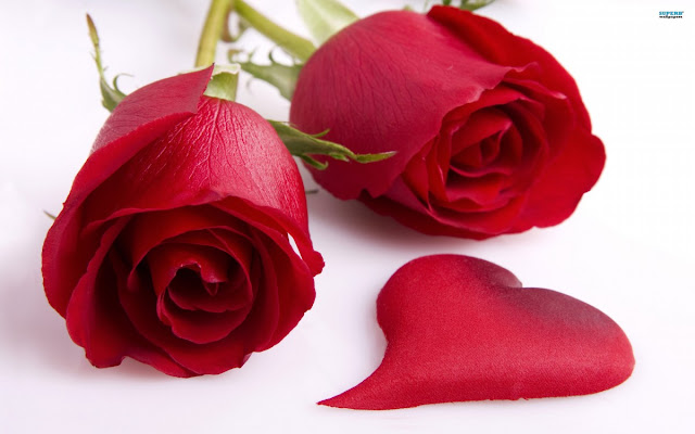 Happy Rose Day Messages for Boyfriend for Whatsapp